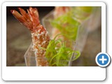 MARTI_Roger_Panko fried prawn, lemongrass dip, green chili